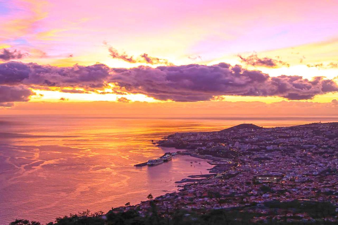 Luxury One Bedroom Palheiro Village By Hr Madeira Funchal  Exteriör bild